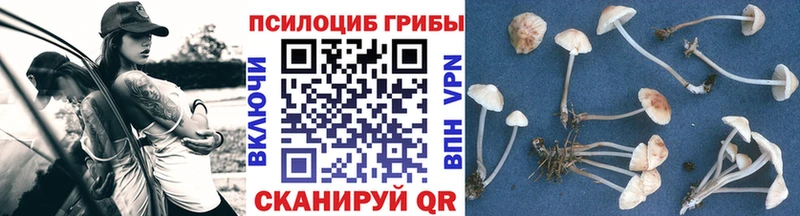 Галлюциногенные грибы ЛСД Нязепетровск